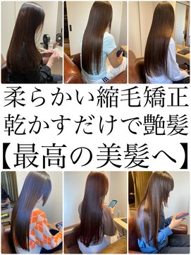 シルベット(Silvet) 縮毛矯正矯正髪質改善