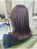 ラベンダーパープル
