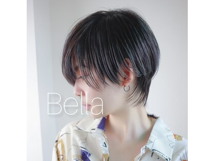 ベラ(Bella)の写真