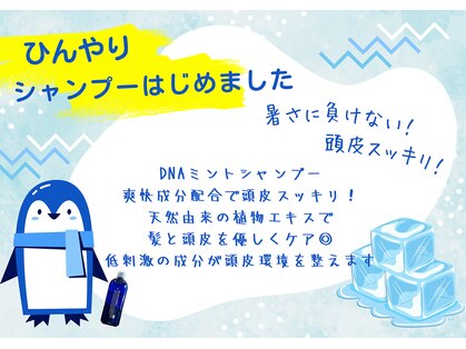 ハナ(Hana)の写真