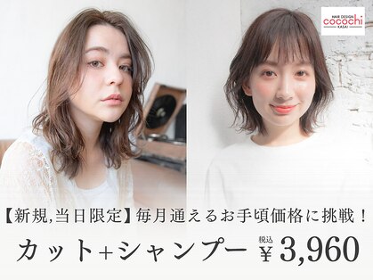 ココチ(Cocochi)の写真