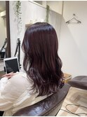 ピンクラベンダー◎