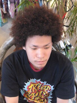 ディバイン(DIVINE) アフロ