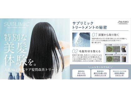 シンシ(Cinci)の写真