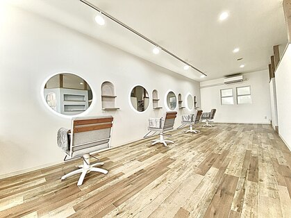 エース(Ace)の写真