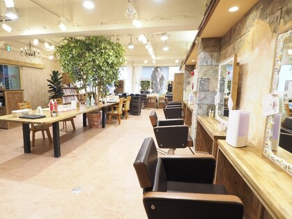 グランアージュ 柏西口店(grandage)の写真