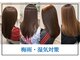 パル(PaL)の写真