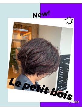 ルプティボア(Le petit bois) ハイライトでつくる高発色カラー