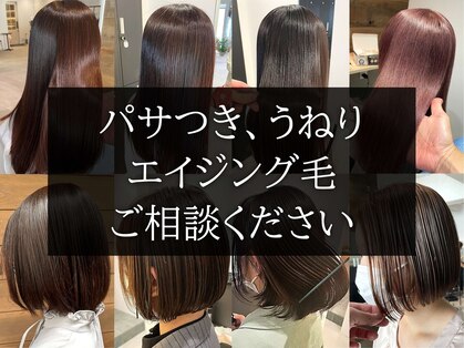 イコール 千葉(equal)の写真