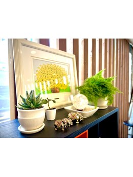 “誰でも気軽に通える”をコンセプトに、お客様へ癒しを与えられるようなインテリアにこだわっています。