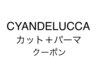 カット+パーマ+トリートメント［表参道ショートカット/表参道ショートヘア］