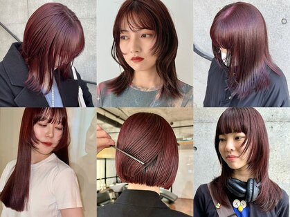 ノラジャーニー(NORA Journey)の写真