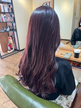 オーストヘアジジ(Aust hair Gigi) ボルドールビー