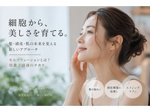 ヴィサージュロカ(VISAGE Loca)の雰囲気（「セルソリューションメニュー」詳しく当店のHPより。）