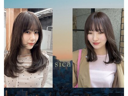 シカ(sica)の写真