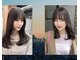 シカ(sica)の写真