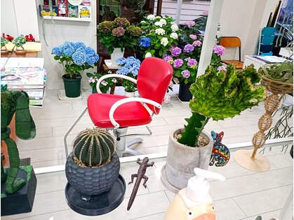 クアトロ ヘア(Quattro hair)の写真