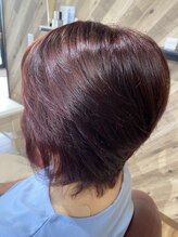 ルネッサンスヘアー ラファエロ(RAFFAELLO) 艶々グレーカラー　レッドブラウン　艶カラー