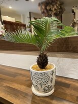 キースヘアー(K-S hair)&nbsp;ソテツさん