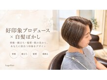 レゴヘアー(Lego Hair)