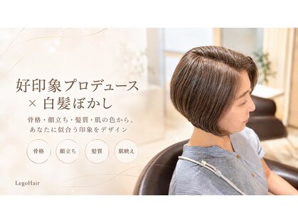 レゴヘアー(Lego Hair)の写真