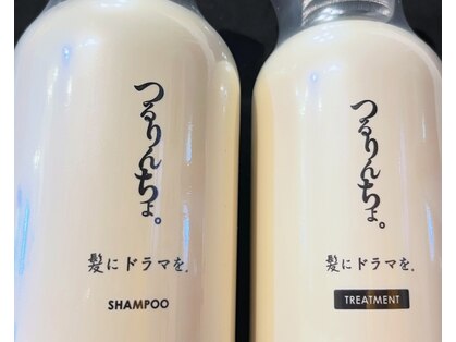 レプスヘアーの写真