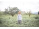 コネクト(conect)の写真