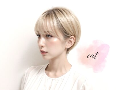 エント(ent)の写真