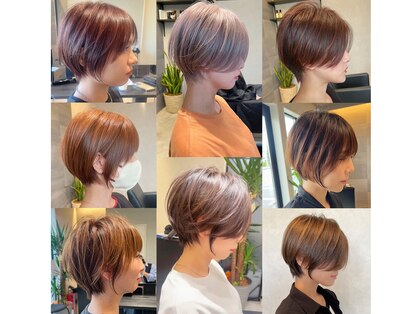 オクト(Octo)の写真