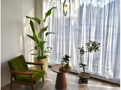 ケータイペイ リラクゼーション(K.TAIPEI relaxation)の写真