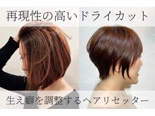 ドルーチェ(Doluce)