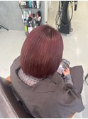 ボルドールビー
