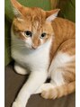 ジューシィ(Juicy) 保護猫ちゃん。こたろうです。