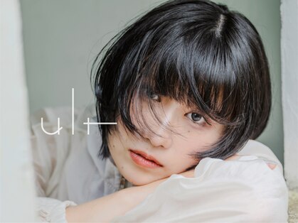 ウルト(ult)の写真