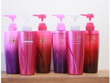 システムヘアケアプログラム