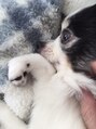 オルガ(orga) 動物が大好き!!癒し効果抜群^ ^