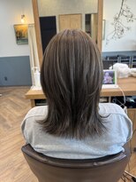 エルバイシオン(aile by sion)&nbsp;白髪ぼかしハイライト