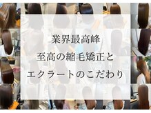 縮毛矯正の新常識：髪を守りながら自然なストレートへ 新宿駅 |髪質改善美容室 ECLART