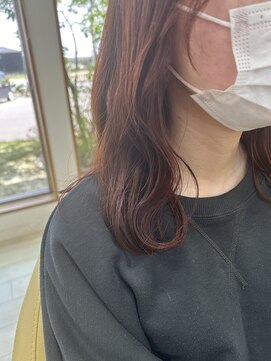 シュウ 安城店(Shu) ブラットオレンジ