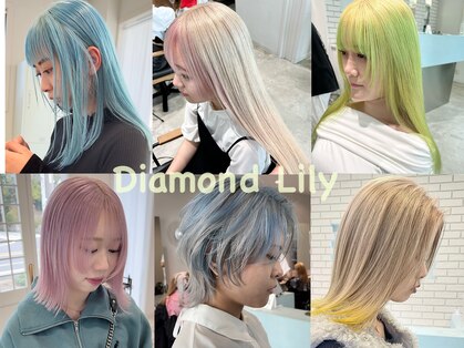 ダイアモンドリリー(Diamond Lily)の写真