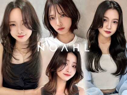 ノアル(NOAHL)の写真