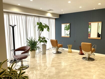 マデイラ(Madeira)の写真