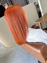 リクノス(Lychnus)&nbsp;ビビットオレンジ