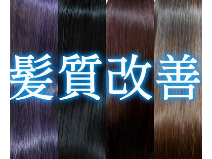ノネット(Nonet plus)の写真