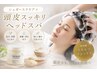 【☆美髪の土台作り】カット+シュガースクラブスパ ¥6800