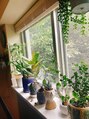 トッカ ヘアーラウンジ 日吉店(tocca)&nbsp;観葉植物も好きで色々探したりしてます。