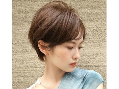 アンビエンテ(ambiente)の写真