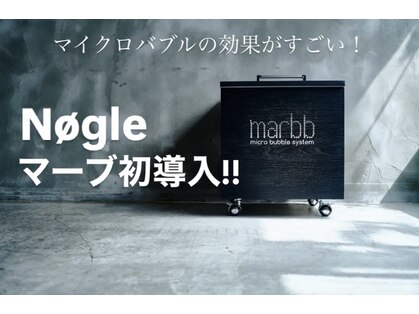 ノイレ(nogle)の写真