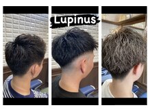 ルピナス 中田(Lupinus)