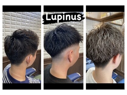 ルピナス 中田(Lupinus)の写真